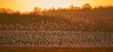 Die magische Formation im goldenen Licht