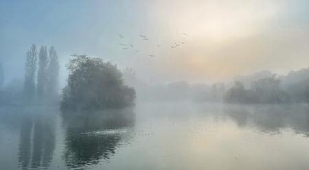 Sehr nebliger Morgen