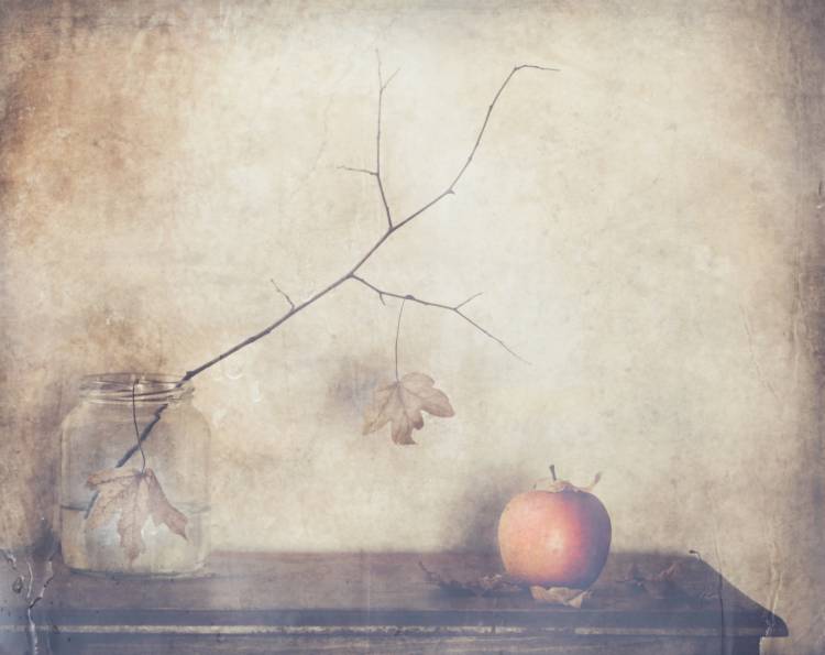 Fall, leaves, fall von Delphine Devos