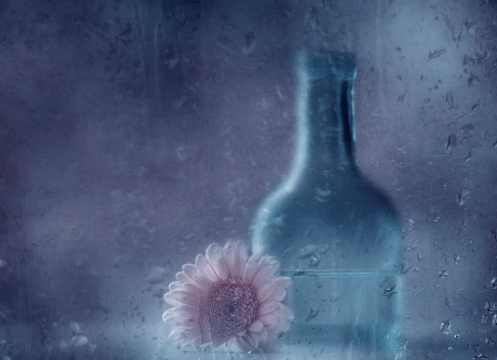 The blue bottle von Delphine Devos