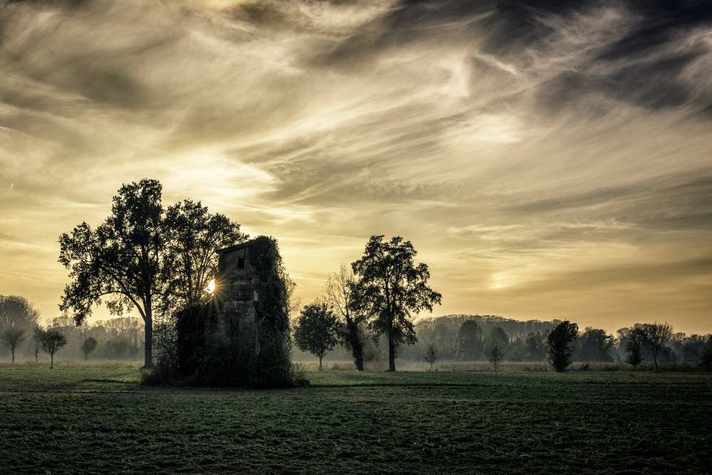 Old abandoned house covered by vegetation at sunset von Denis Bondioli