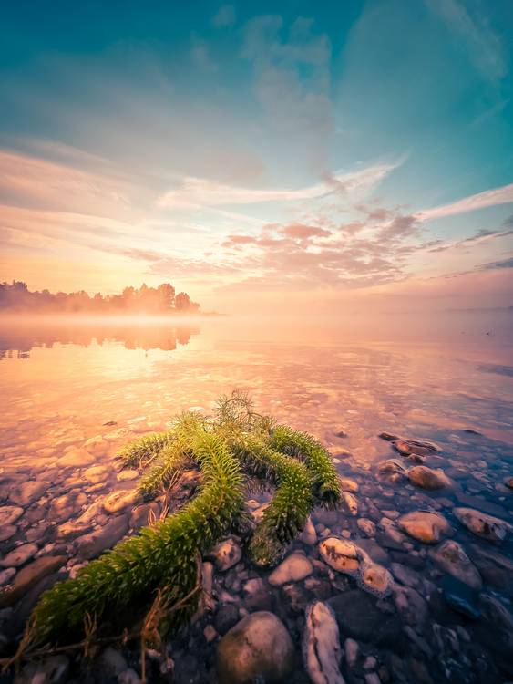 Schladitzer See im Nebel und Sonnenaufgang. von Dennis Wetzel