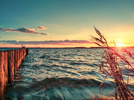 Sonnenuntergang am See mit Buhnen und Schilf 2022