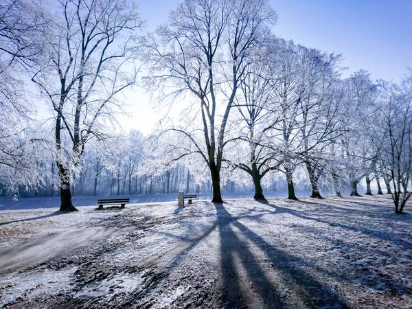 Wintertraum. Licht und Schatten im Winter von Dennis Wetzel
