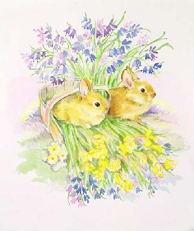Rabbits in a basket with Daffodils and Bluebells 
