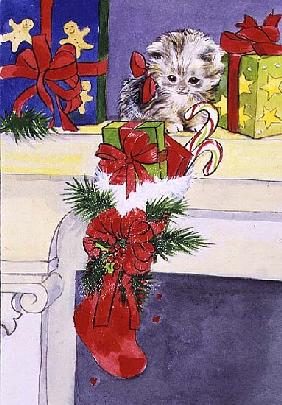 The Kitten and the Christmas Stocking 