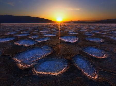 Kristallblume im Death Valley