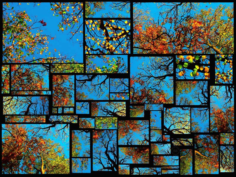 Herbst metallic von Christophe Didillon