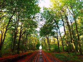 Museumseisenbahn durch den Wald von Hage 2012