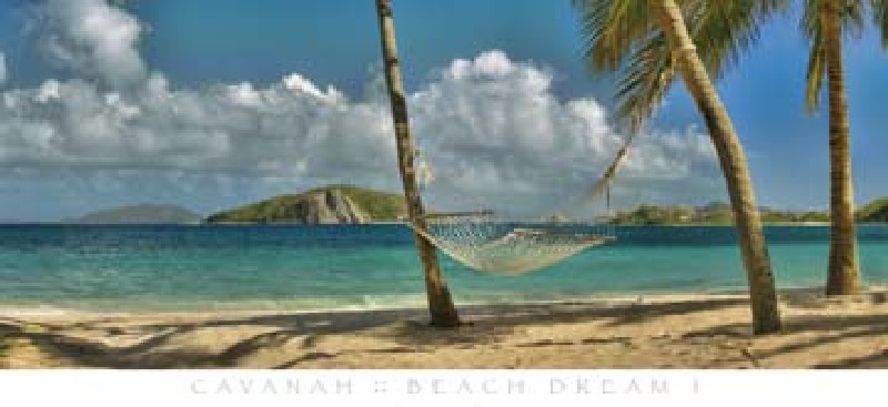 Beach Dream I von Doug Cavanah