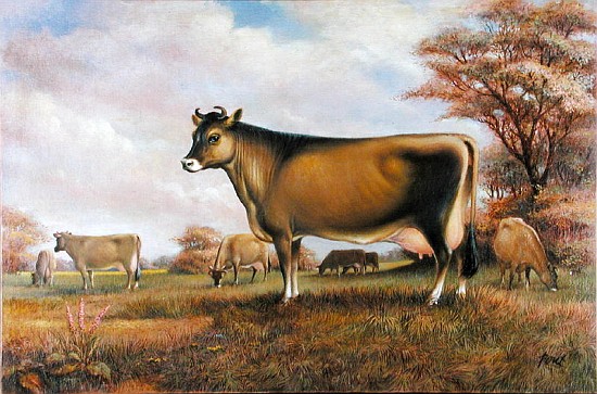 Jersey Cow (oil on canvas)  von Dudley  Pout