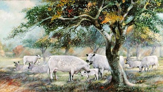 Orchard Sunlight (oil on canvas)  von Dudley  Pout