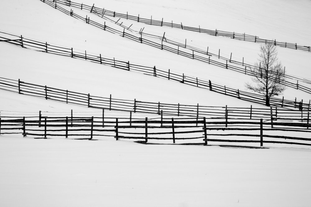 Winterlied von Dzintra Zvagina