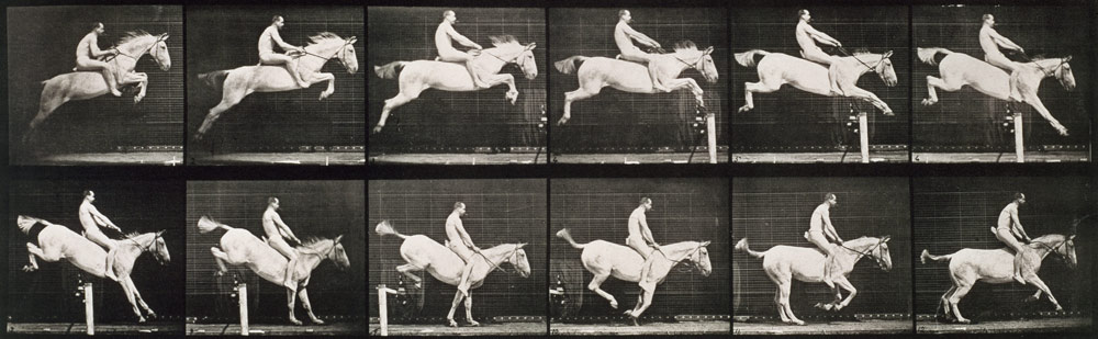 Man and horse jumping a fence, plate 643 from ''Animal Locomotion''  von Eadweard Muybridge