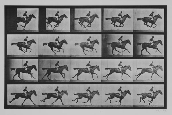 Jockey on a galloping horse, plate 627 from "Animal Locomotion" von Eadweard Muybridge