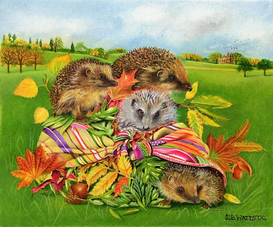 Hedgehogs Inside Scarf, 2000 (acrylic on canvas)  von E.B.  Watts