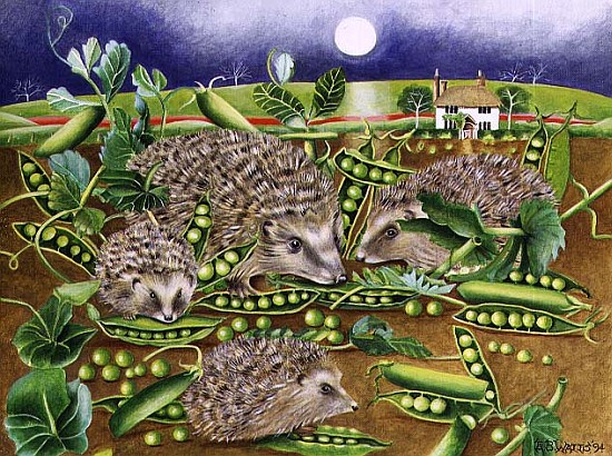 Hedgehogs with Peas beside a Poppy field at night, 1994 (acrylic)  von E.B.  Watts