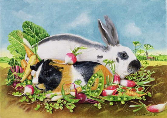 Rabbit and Guinea Pig, 1998 (acrylic on canvas)  von E.B.  Watts