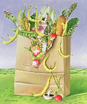 Paper Bag with Vegetables, 1992 (acrylic) 