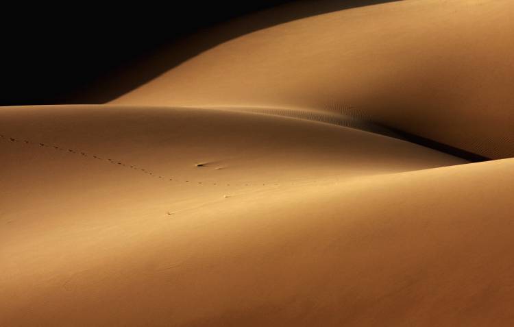 Desert and the human torso von Ebrahim Bakhtari bonab