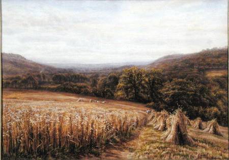 Harvest Time near Ashburton von Edmund George Warren