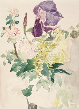 Blumenstück mit Schwertlilie, Goldregen und Geranie 1880