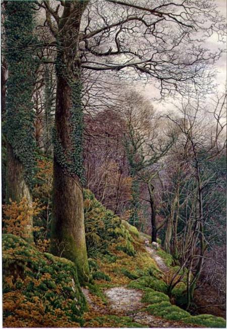 A Path in the Wood von Edward Bentley
