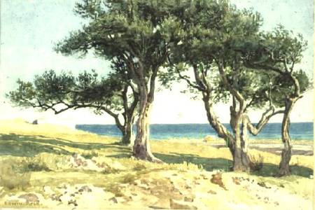 Old Olive Trees, Bordighera von Edwin Bale