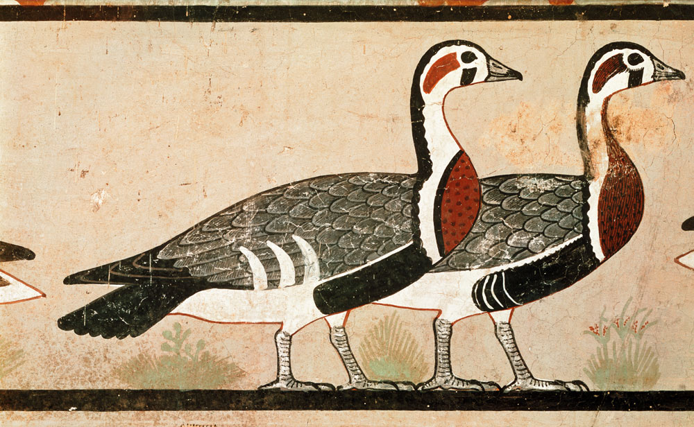 Meidum geese, from the Tomb of Nefermaat and Atet, Old Kingdom von Egyptian