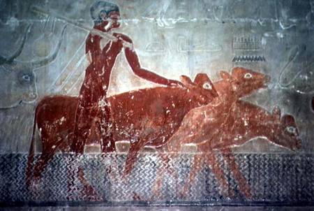 Cattle fording a canal in the Mastaba Chapel of Ti, Old Kingdom von Egyptian