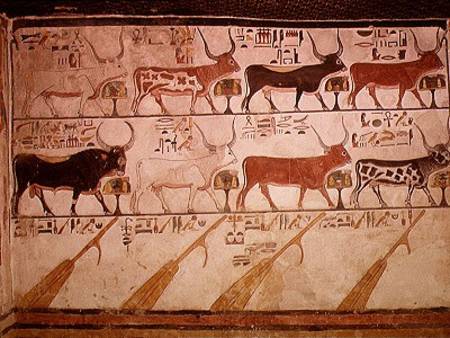 The seven celestial cows and the sacred bull and the four rudders of heaven, from the Tomb of Nefert von Egyptian