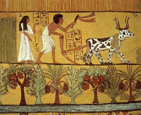 Sennedjem and his wife in the fields sowing and tilling, from the Tomb of Sennedjem, The Workers' Vi von Egyptian