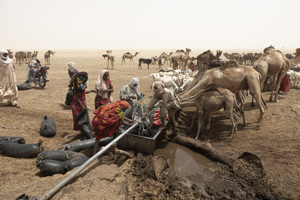 so viel Aktivität rund um den Brunnen in der Borkou-Wüste,Tschad von Elena Molina