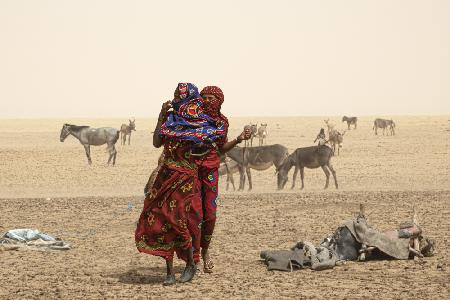 um einen Brunnen in der Borkou-Wüste,Tschad