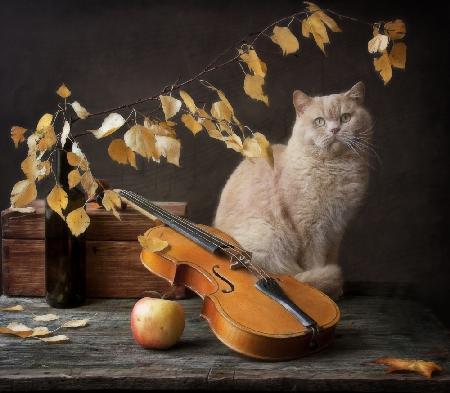 Herbstmelodie für Katze und Violine