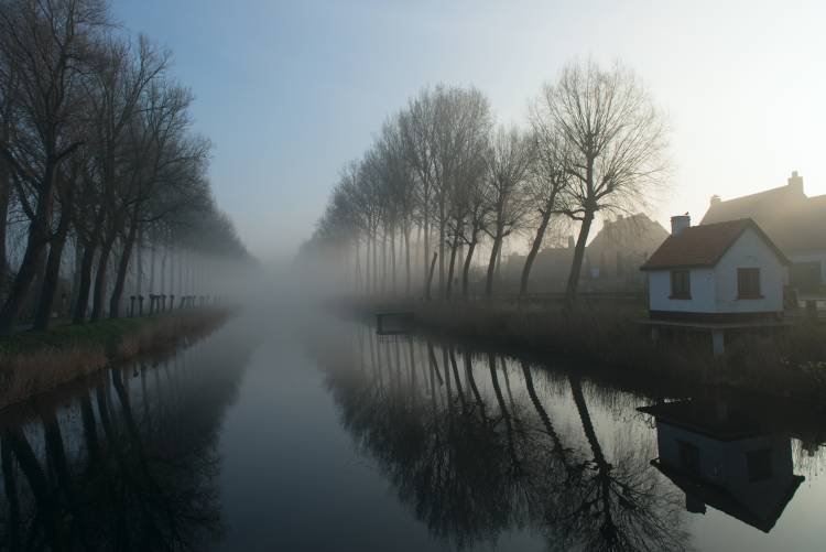 Mist across the Canal von Elisabeth Wehrmann