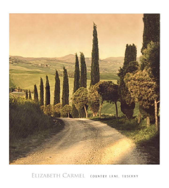 Country Lane, Tuscany von Elizabet Carmel