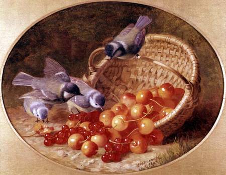 Bluetits pecking at cherries von Eloise Harriet Stannard