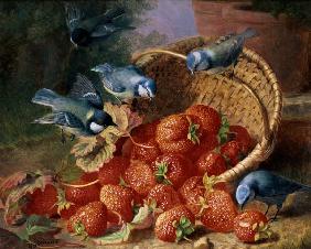Still Life with Strawberries and Bluetits