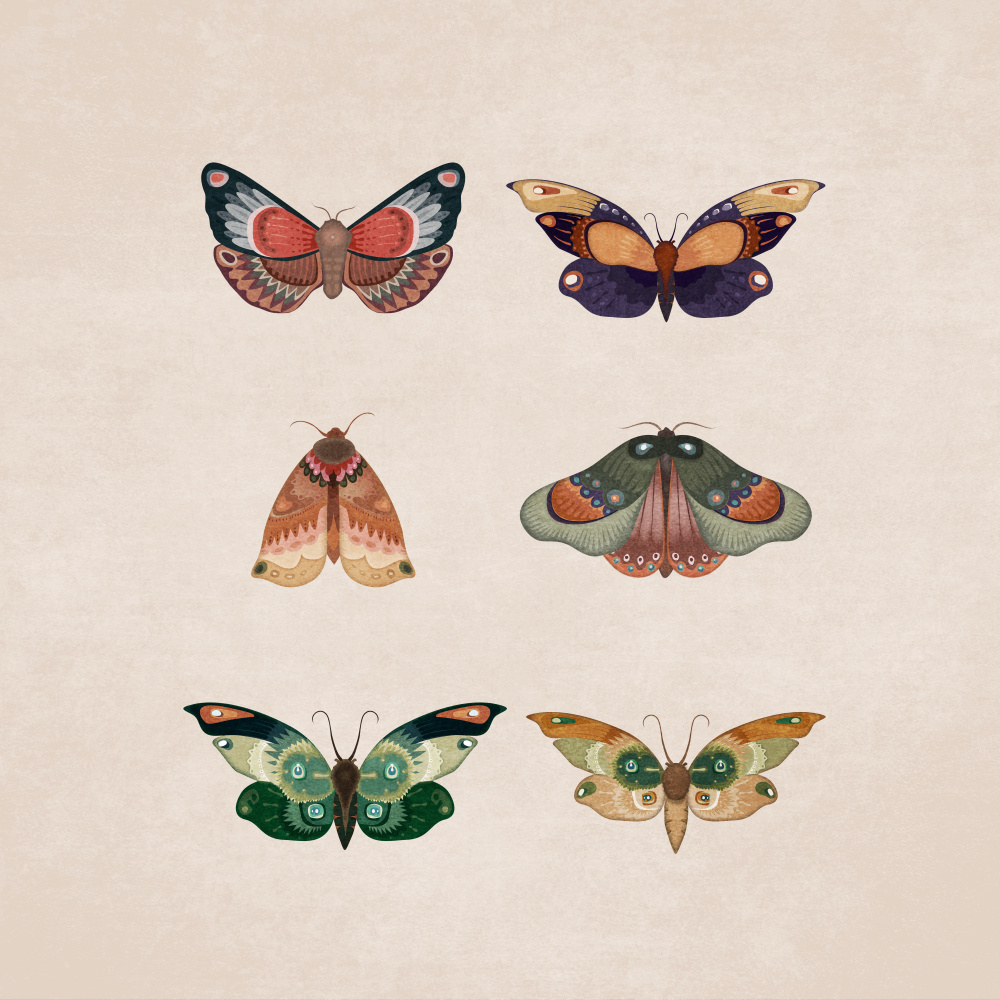 Kelebekler von Emel Tunaboylu