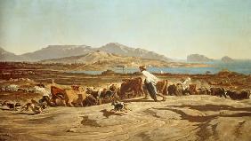 Cattle herding near Marseilles 1853