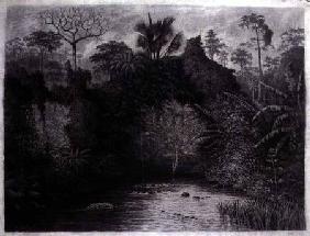 View of the Gulf of Biafra, West Africa 1877