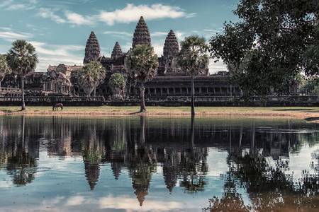 Angkor Wat 2017