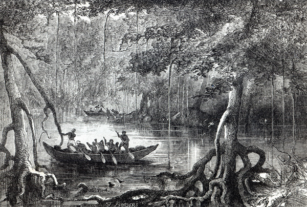 Mangrove Forest'', frontispiece illustration from ''Twenty Nine Years in the West Indies and Central von English School