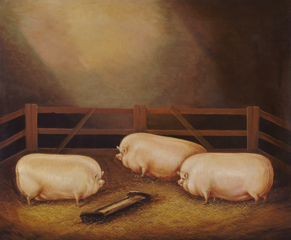 Three Prize Pigs outside a Sty von English School
