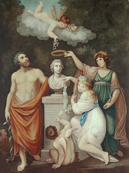 Aesculapius, Flora, Ceres and Cupid Honouring the Bust of Linnaeus, plate 17 from ''The Temple of Fl von English School