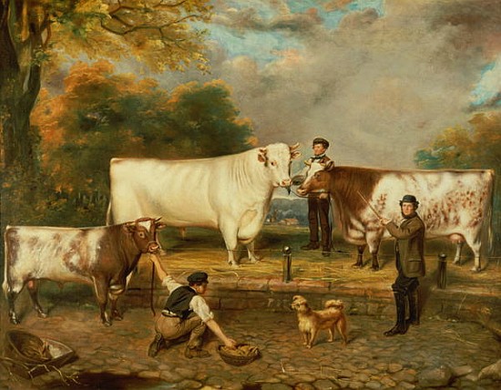Cows with a herdsman von English School