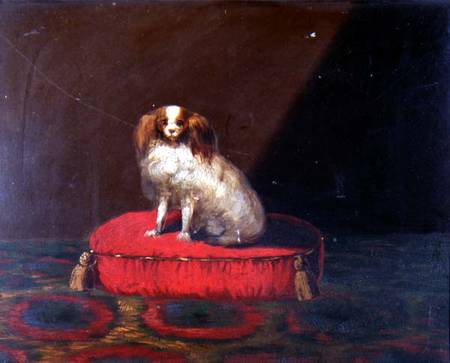 A King Charles Spaniel on a red cushion, Provincial School von English School