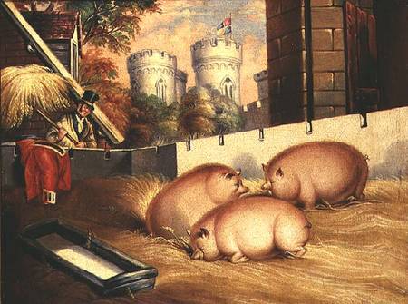 Three Pigs with Castle in the Background von English School