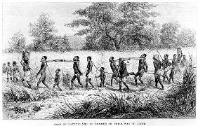Gang of Captives Met at Mbame''s on their way to Tette; engraved by Josiah Wood Whymper (1813-1903)